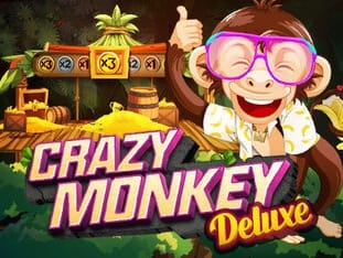 Crazy Monkey Deluxe icon